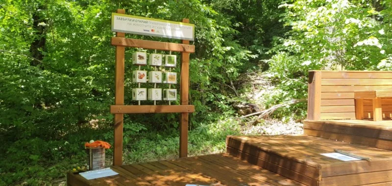 Към Зелена класна стая